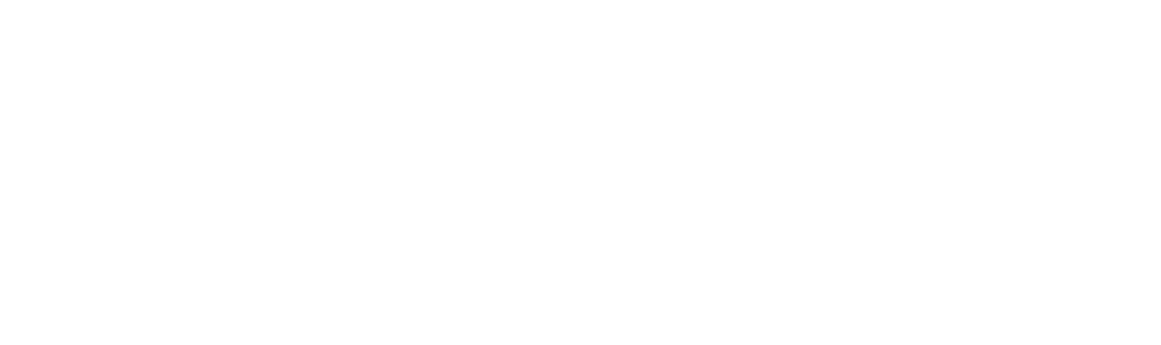 V1 News